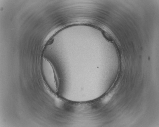 X0000077360842200611171921