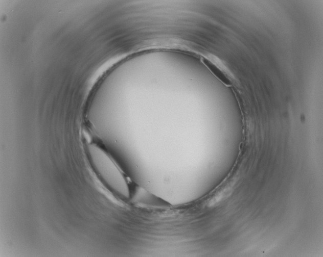 X0000077360846200611171921