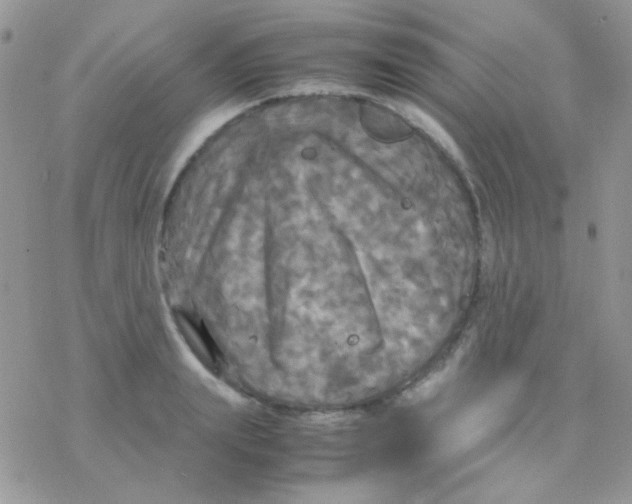 X0000077360847200611171921