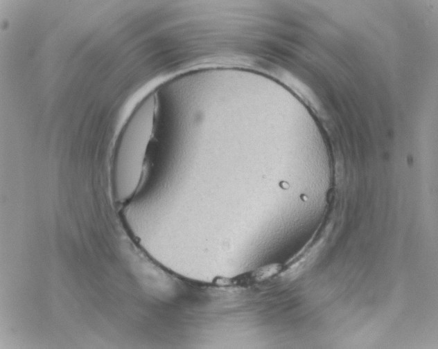 X0000077360854200611171921