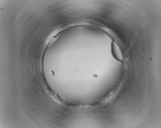 X0000077360858200611171921