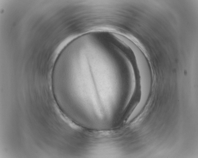 X0000077360862200611171921