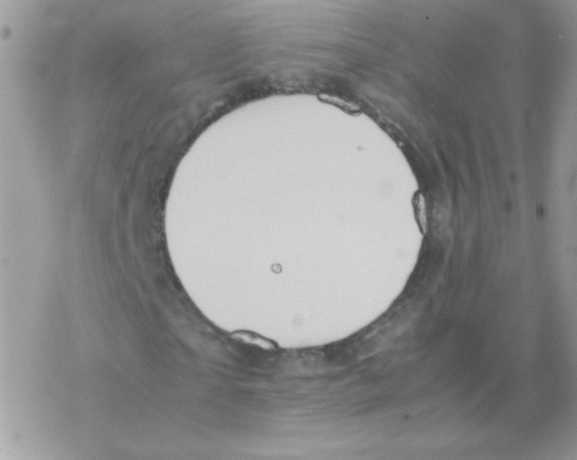 X0000077360865200611171921