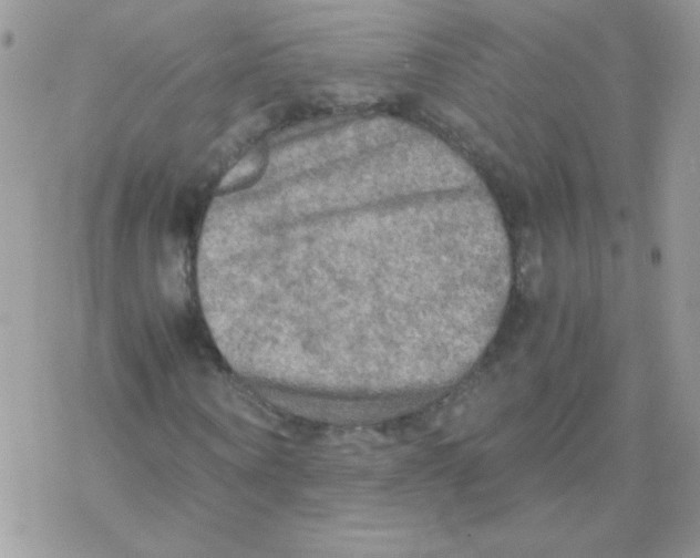 X0000077360866200611171921