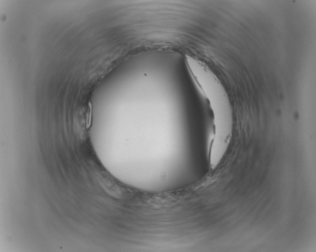 X0000077360868200611171921