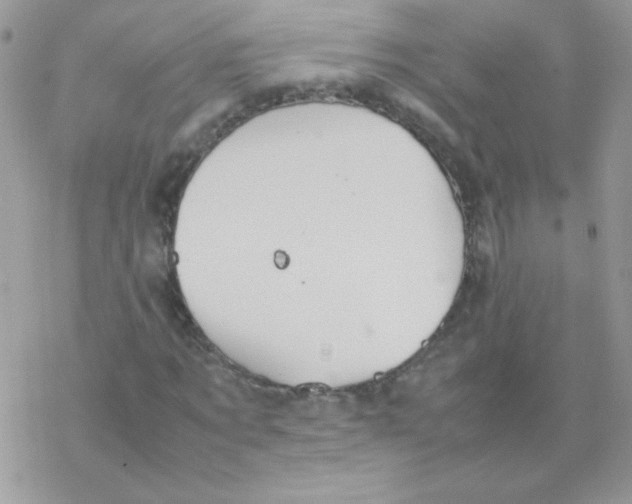 X0000077360869200611171921