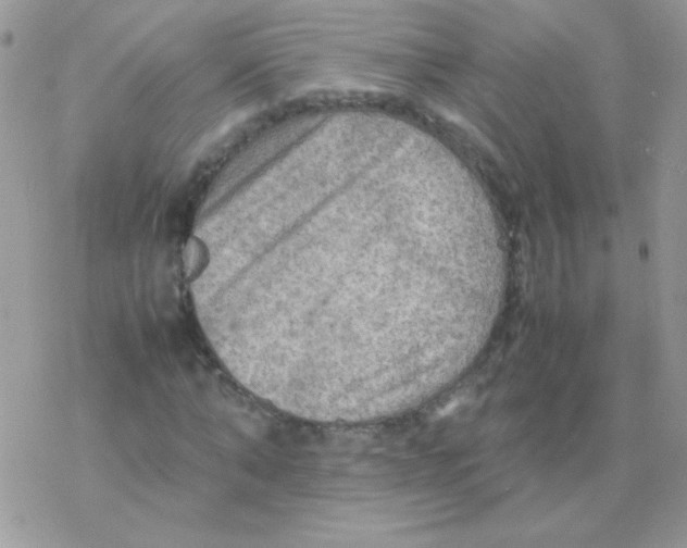 X0000077360870200611171921