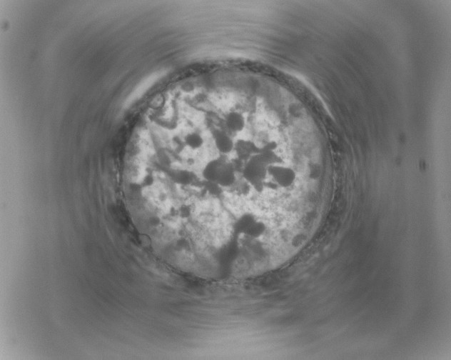 X0000077360871200611171921