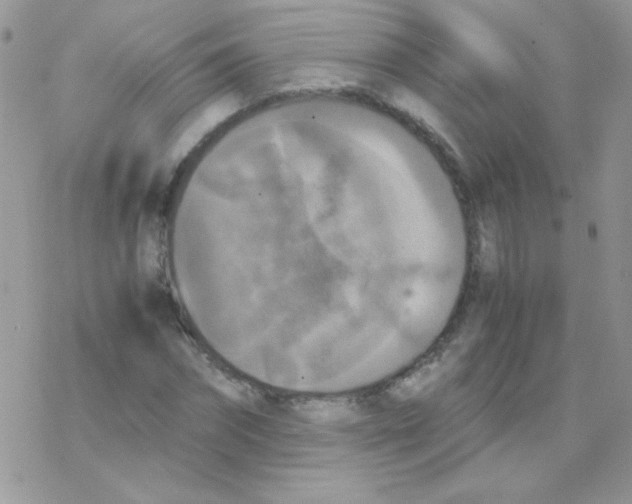 X0000077360874200611171921