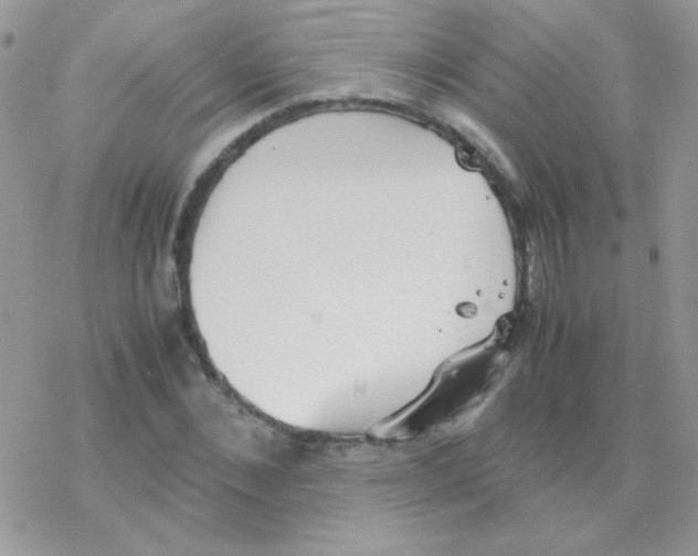 X0000077360876200611171920