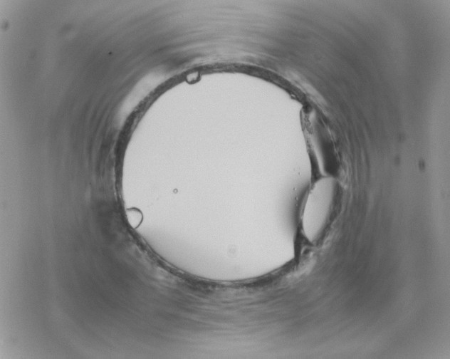 X0000077360877200611171920