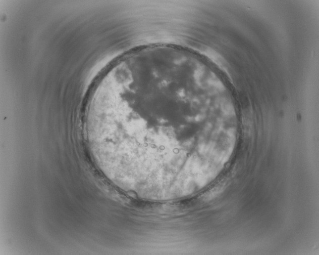 X0000077360879200611171920