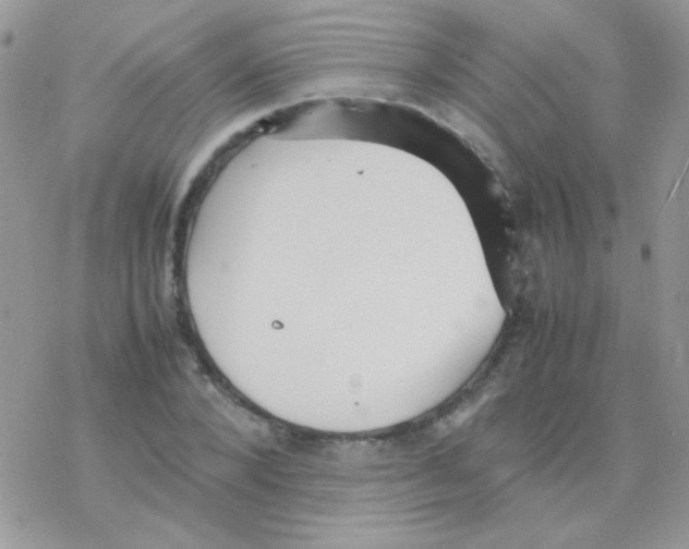 X0000077360880200611171920