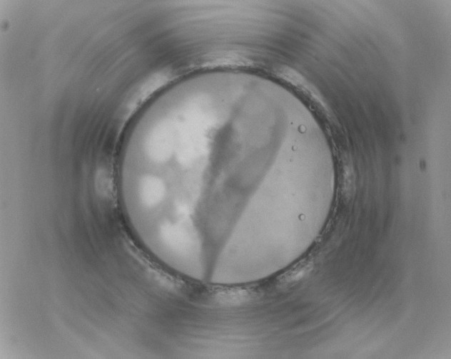 X0000077360882200611171920