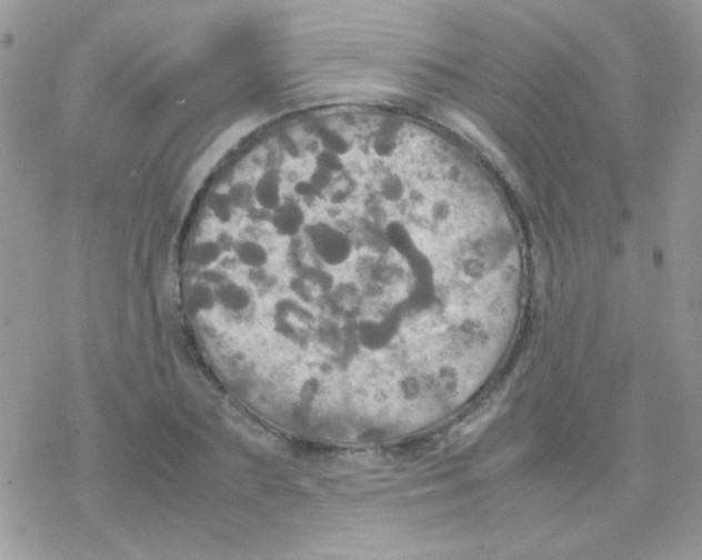 X0000077360883200611171920