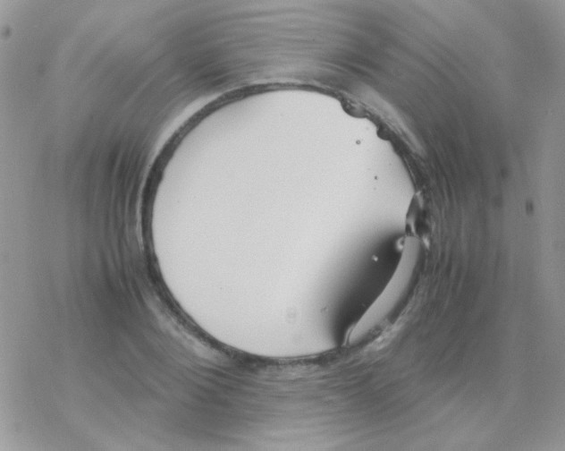 X0000077360884200611171920