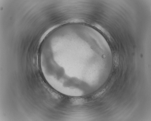 X0000077360886200611171920