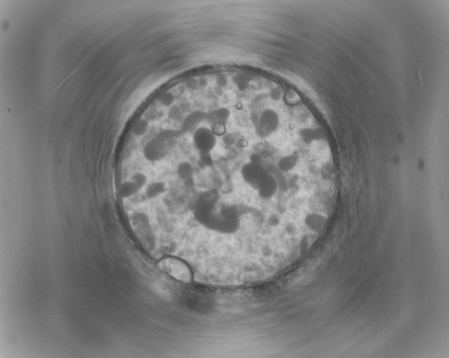 X0000077360887200611171920