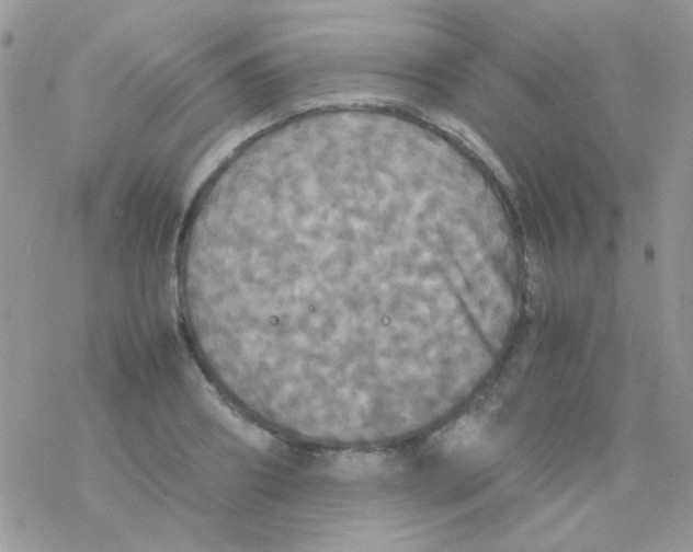 X0000077360890200611171920