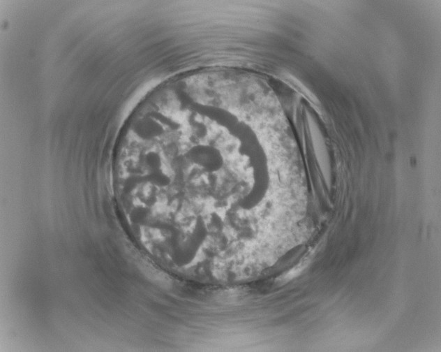 X0000077360891200611171920