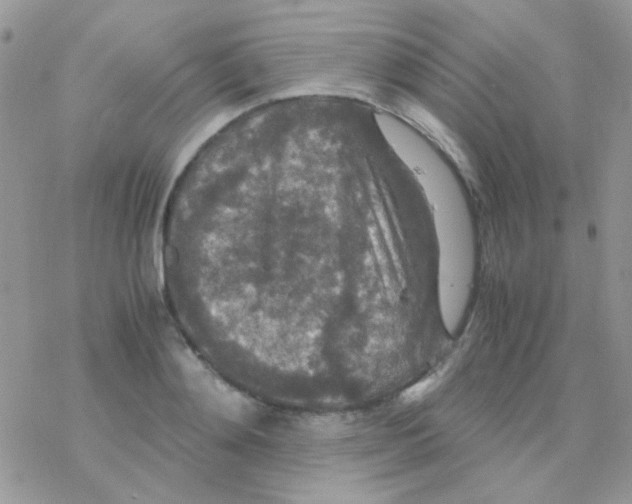 X0000077360892200611171920