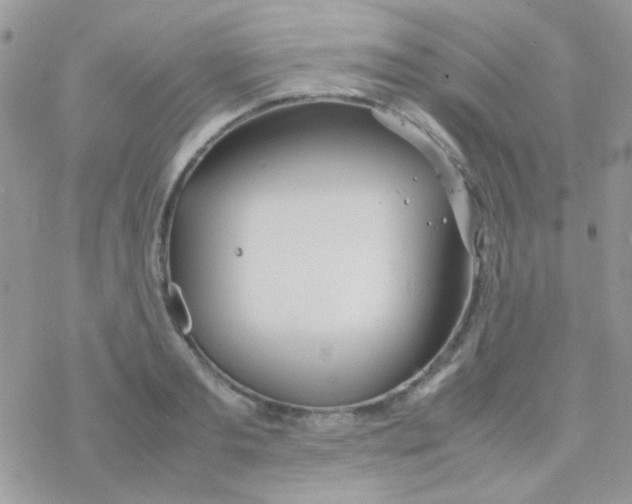 X0000077360893200611171920