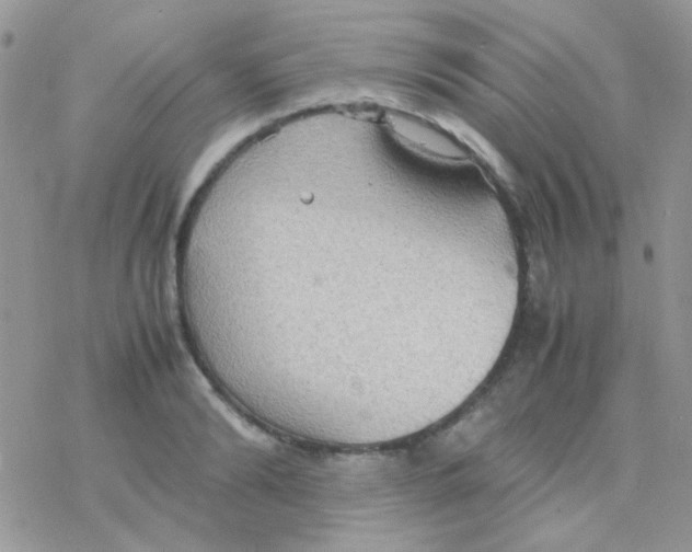 X0000077360894200611171920