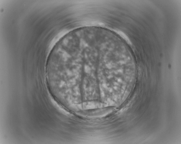 X0000077360895200611171920