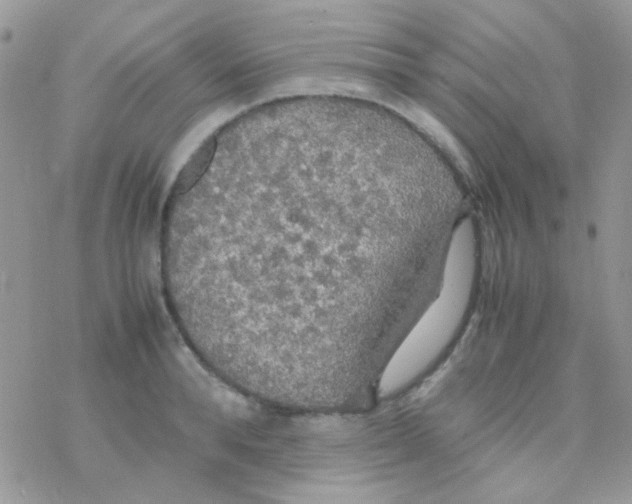 X0000077360896200611171920