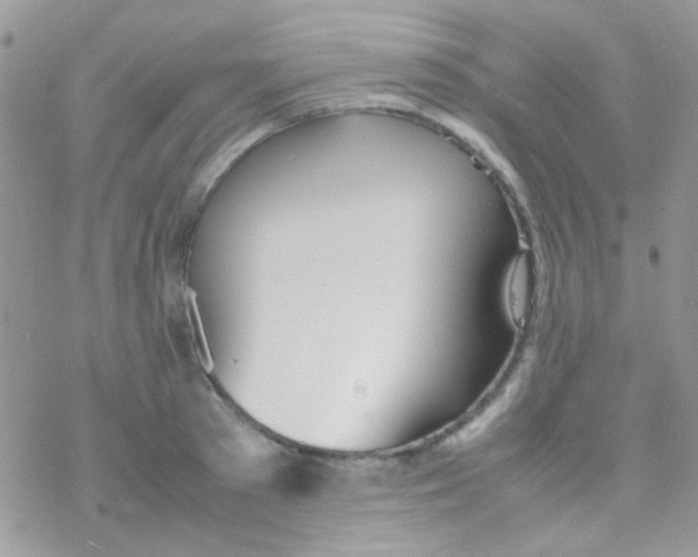 X0000077360897200611171920