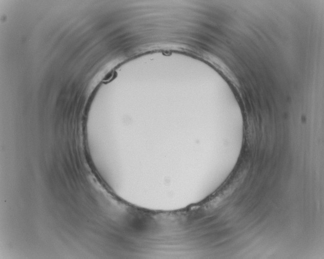 X0000077360898200611171920