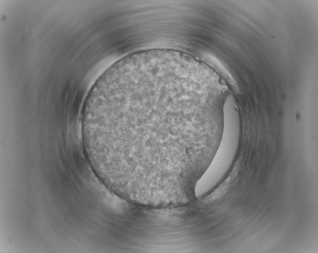 X0000077360900200611171920