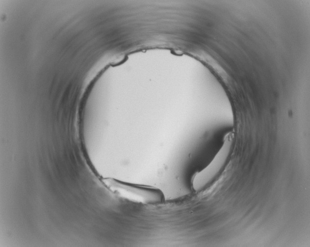 X0000077360902200611171920