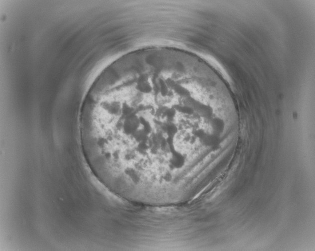 X0000077360903200611171920