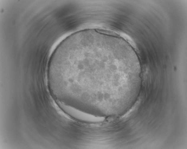 X0000077360904200611171920