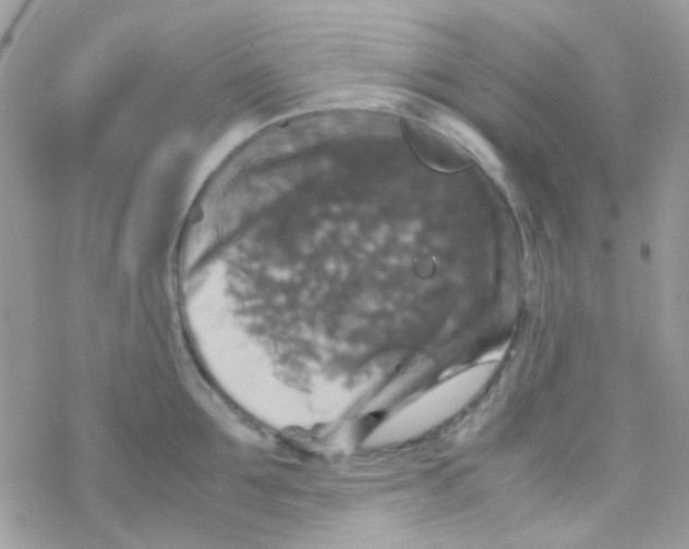 X0000077360907200611171920