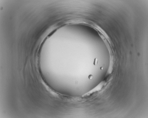 X0000077360909200611171920