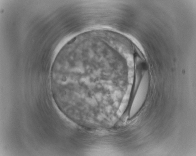 X0000077360911200611171920