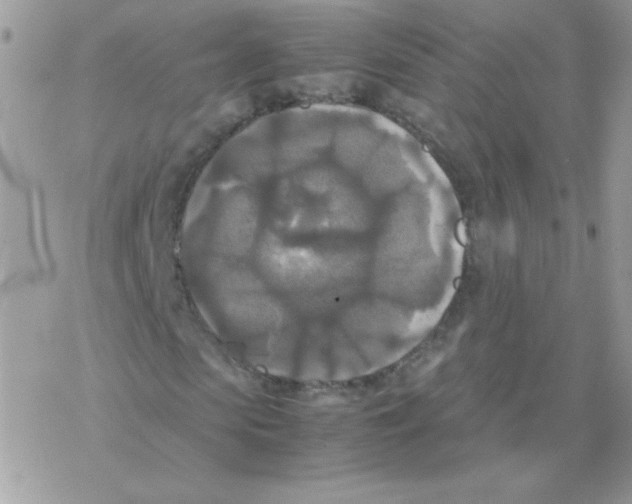 X0000077360913200611171919