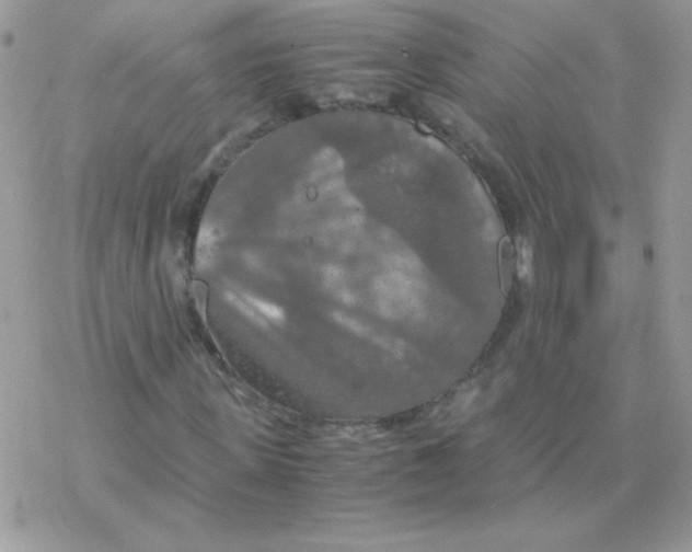 X0000077360915200611171919