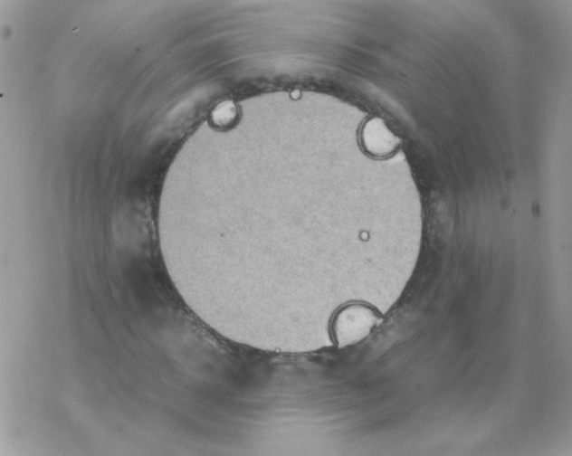 X0000077360918200611171919