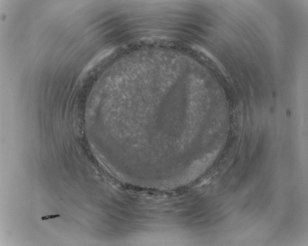 X0000077360919200611171919