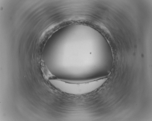 X0000077360920200611171919