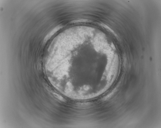 X0000077360921200611171919