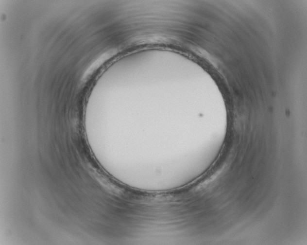 X0000077360922200611171919