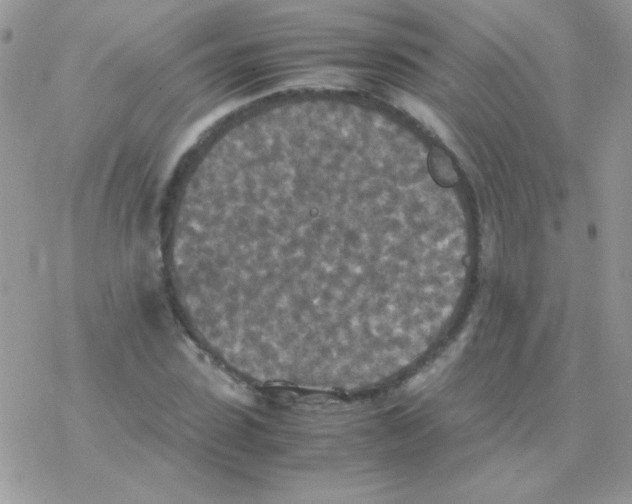 X0000077360923200611171919