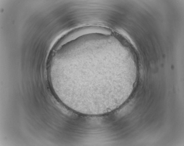 X0000077360924200611171919