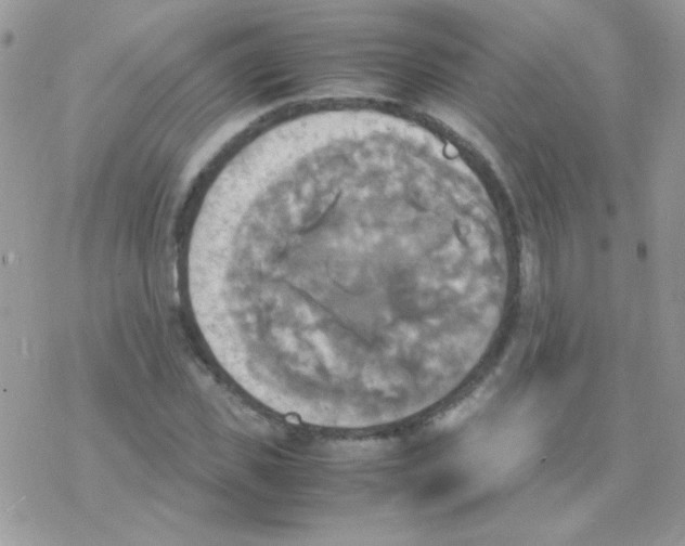 X0000077360925200611171919