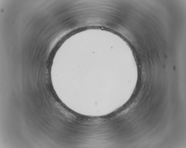 X0000077360926200611171919