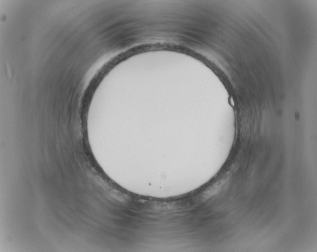 X0000077360927200611171919